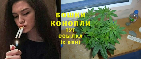 шишки Белокуриха