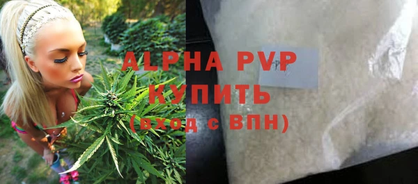 молекула духа Болхов
