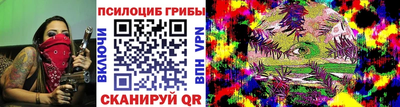 Галлюциногенные грибы GOLDEN TEACHER  как найти наркотики  Камешково 